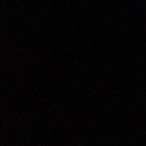 Meet your Posher, Max